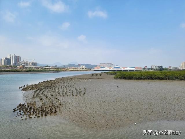 悠游泉州⑦:海内第一桥——洛阳桥(2025.2.8)