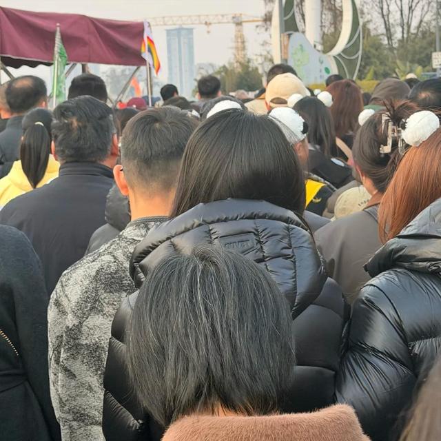 2026马年春节假期，全国最堵十大景区出炉：一眼望不到边的人头！