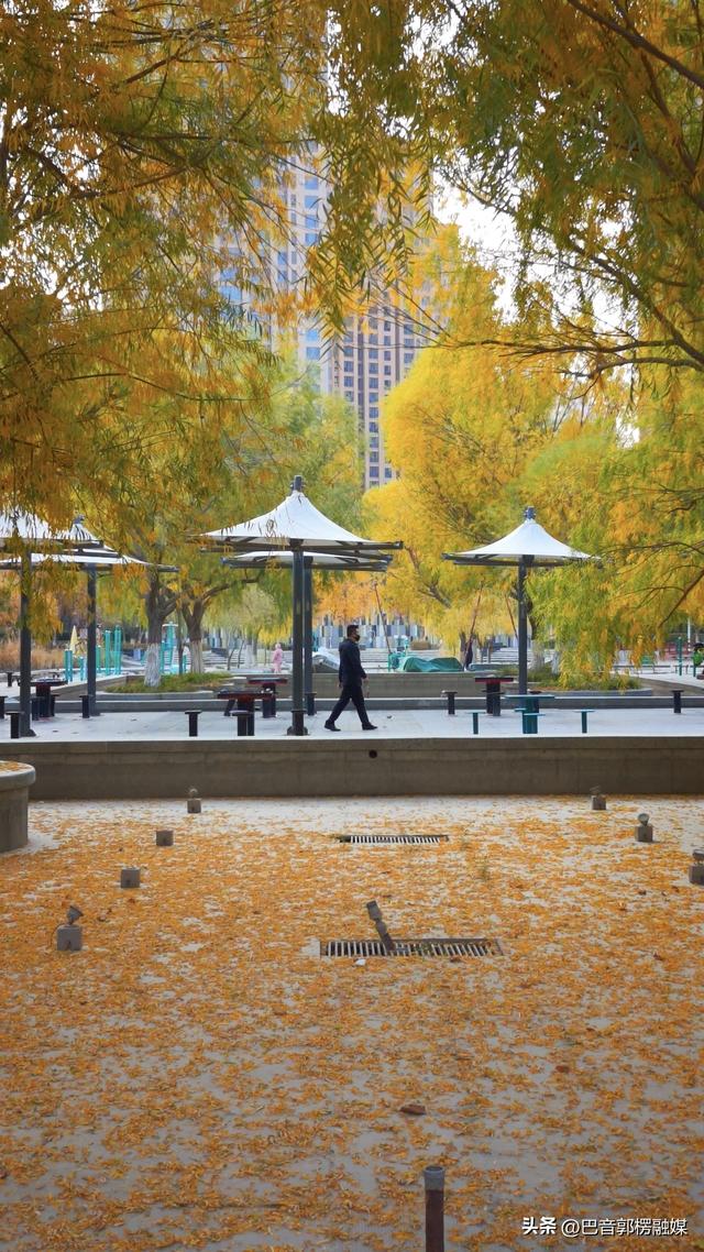 好美！秋天的尾巴你抓住了吗