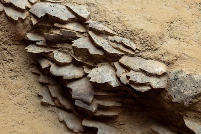 豫西北穿越记：在秦晋咽喉处，寻找山河与历史的回响