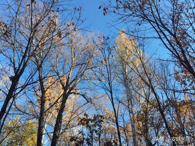 深秋之游——五大连池，因为它的博大，才有苍凉之美的深远