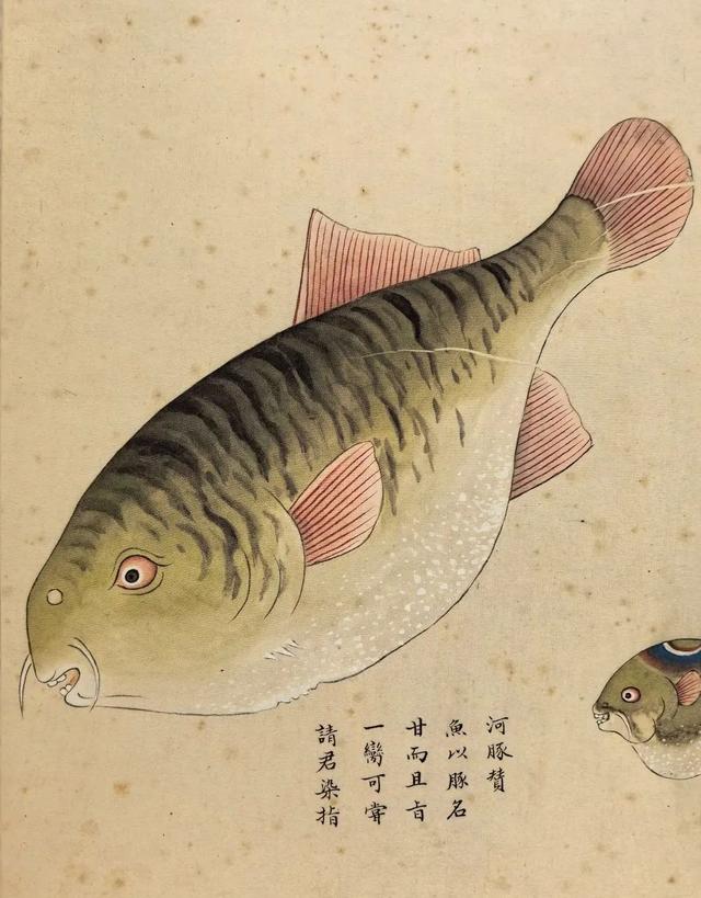 这画，真实又让人脑洞大开！