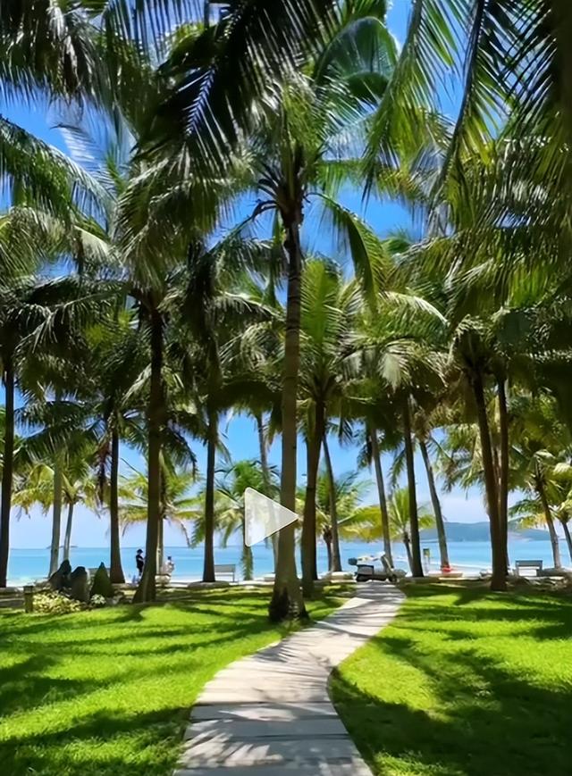 为吸引流量，女子编造在三亚潜水被拔氧气管，警方：刑拘5日