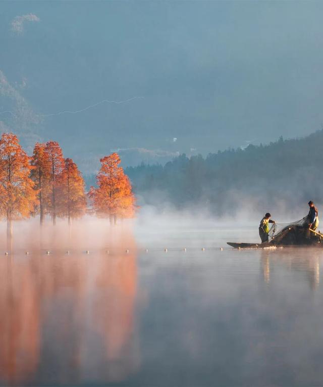 别再只去宏村了！这座水墨小城，藏着大半个徽州的秋，美得更诗意