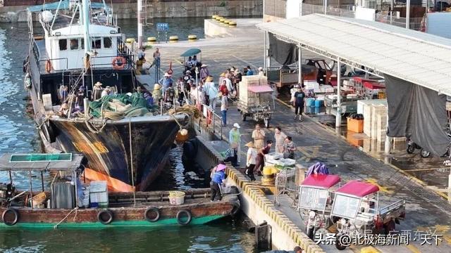 跨越山海，遇见防城港：一条边、一片海、一座城的共生之路