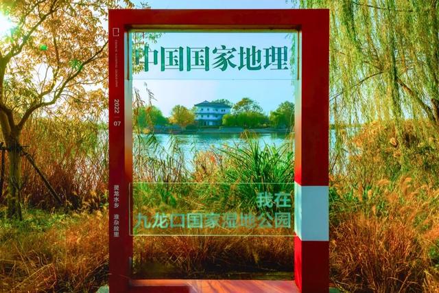 定格九龙口的初冬浪漫！每帧都是大片