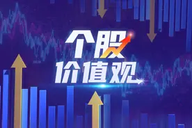 士兰微：碳化硅器件加速迭代，增收不增利局面待解图片