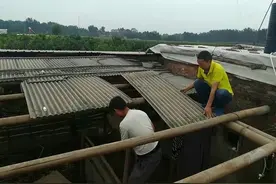 石棉是致癌物，为什么我们还在使用石棉瓦？国家没有禁止石棉吗？图片