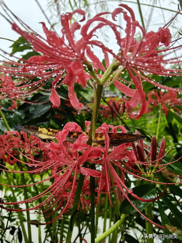 头条君，我已爱上你。