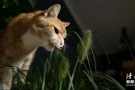 永远不要在微信上做这三件事图片