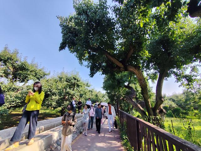 以松弛的姿态读懂金城文化魅力 兰州市文旅局发布双节旅游精品线路
