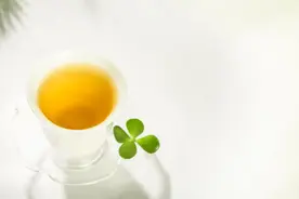 《鸡毛飞上天》：陈江河以茶育人，教育儿子什么是格局，引人深思图片