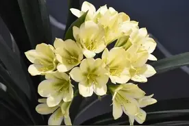 婚姻里，丈夫不给你面子，无视你，做到这两点，你就赢了图片