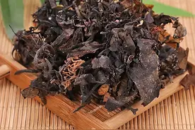 倪海厦：结节就是痰湿破了命门，一个中成药，益气健脾、软坚散结图片