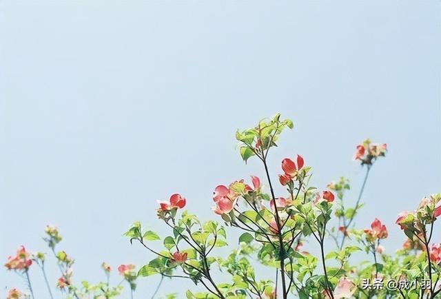 一个妻子，发自内心嫌弃老公，基本会出现3种反常，很真实