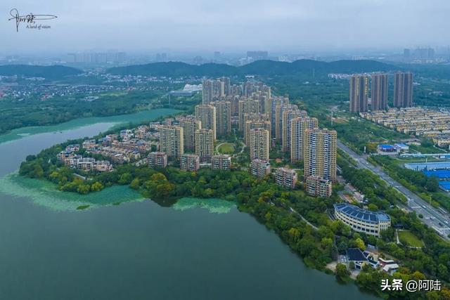 武汉的知音湖和后官湖究竟谁是大谁是小?把我这外地佬搞晕了