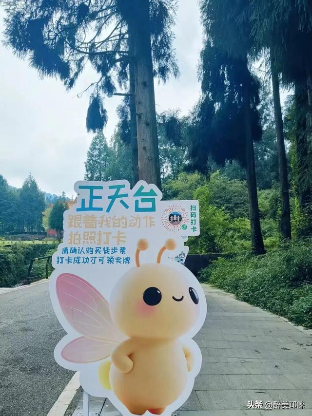 10月29日，开启乐游天台山不限量徒步活动！速来围观！