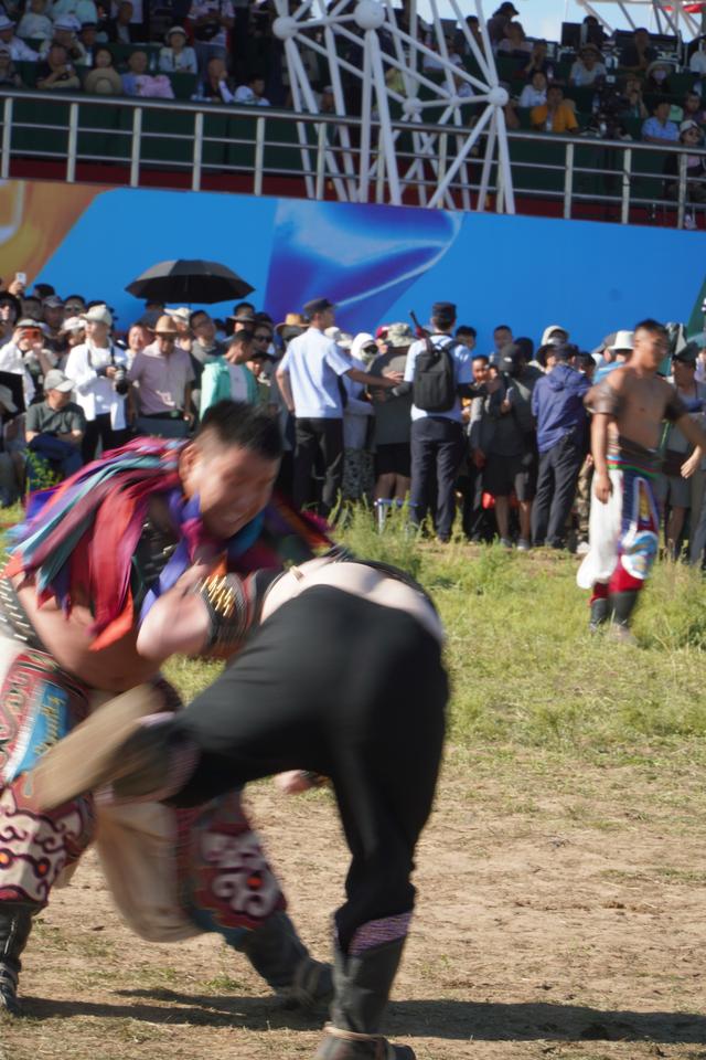 假期想要去内蒙古草原玩 不妨听听草原人怎么说