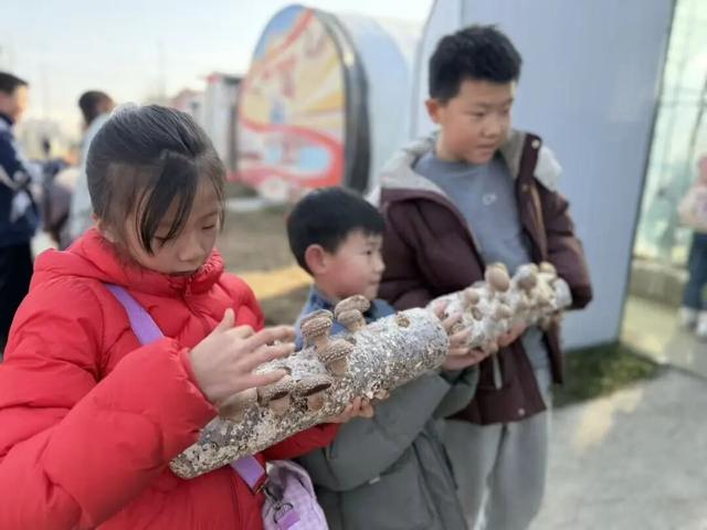 刚刚传来，颍东竟有这么多宝藏地？！今天，好多阜阳人都去了！直击现场......