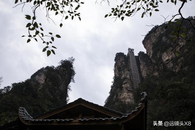 张家界国家森林公园的自然诗篇