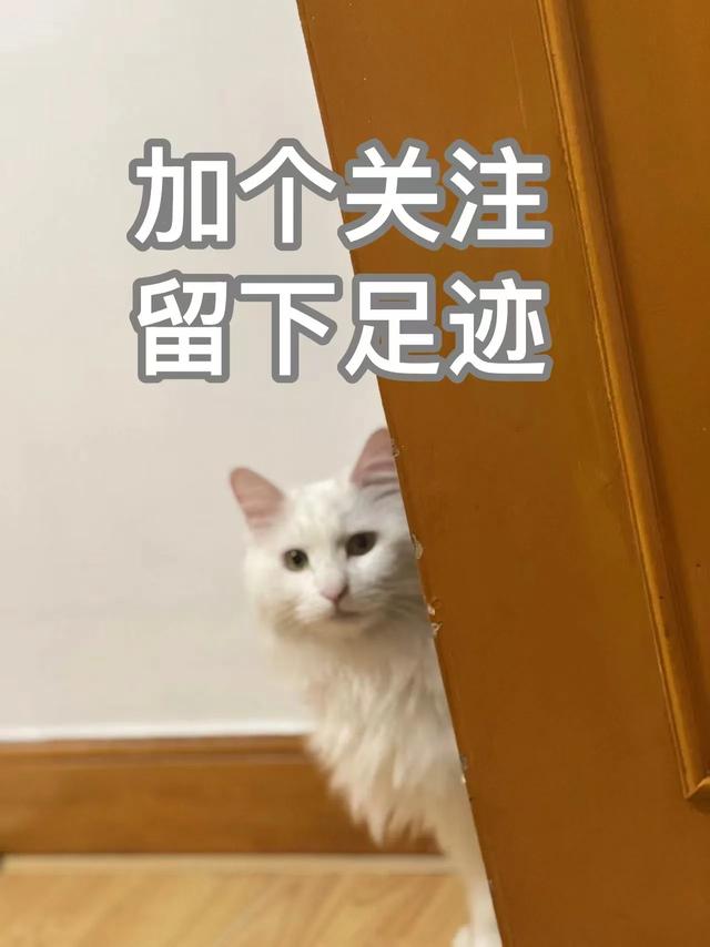 简单好看的糖果色美甲来咯