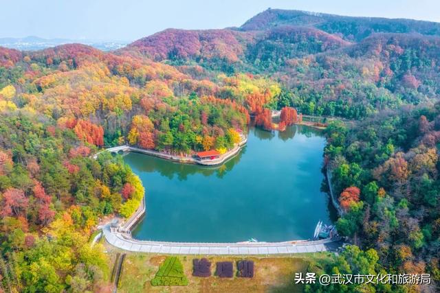 速看！蔡甸元旦跨年活动来了，迎接2026！