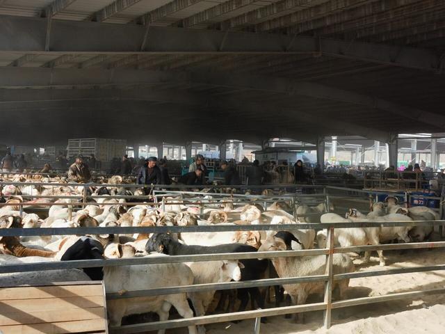 喀什，我又来了