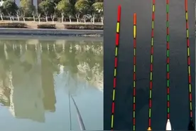 教你如何正确使用加粗尾浮漂，精准到只要浮漂点动，提竿必中鱼图片