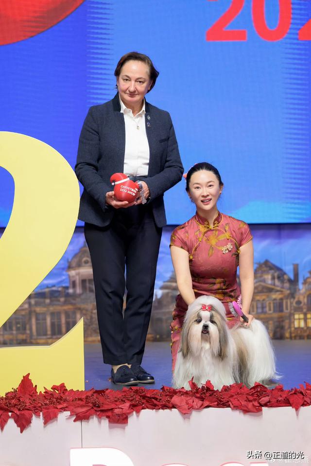 霍思燕穿旗袍携爱犬夺冠前凸后翘丰乳肥臀 难怪杜江对她生理性喜欢