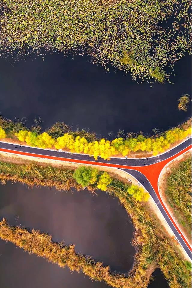 大同这片18万亩的湿地,美到让人心醉