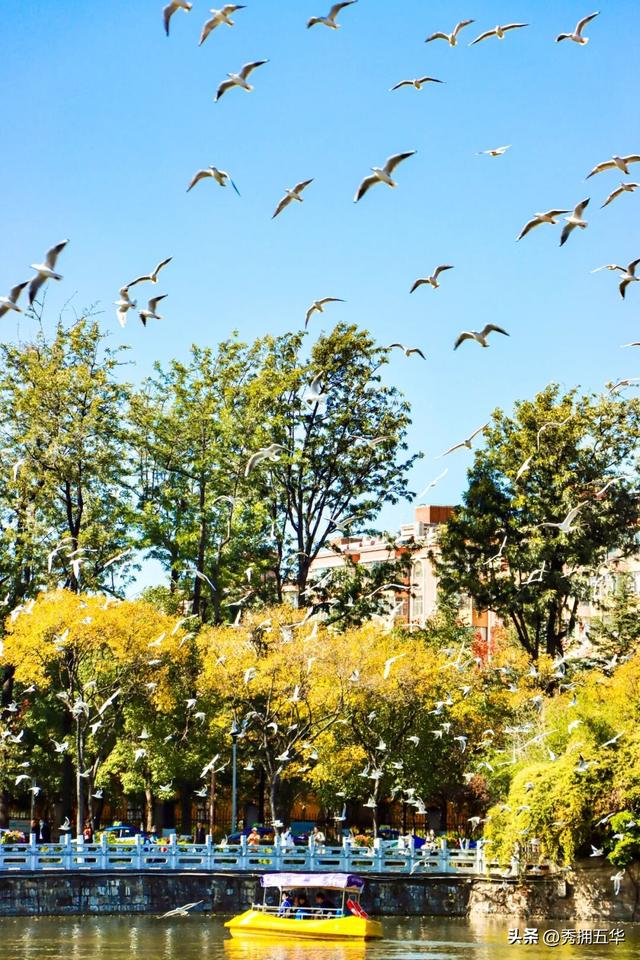 冬日氛围感拉满！跟着香港明星足球队，解锁翠湖海鸥+梧桐黄墙的浪漫剧本