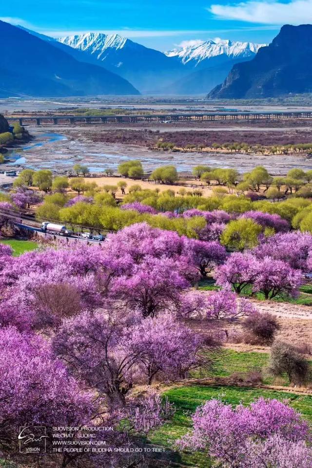 3、4月最应该去哪儿玩？推荐这12个赏春地，闭眼冲，错过再等一年