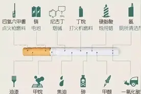 科普丨吸烟的危害图片