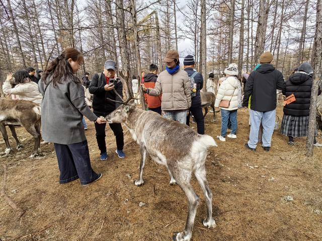 🍂呼伦贝尔深秋自驾游参考攻略