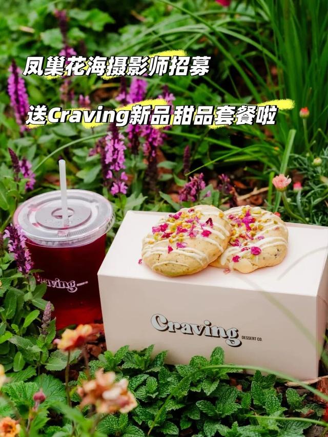 解锁春日趣玩，尽在西岸凤巢！