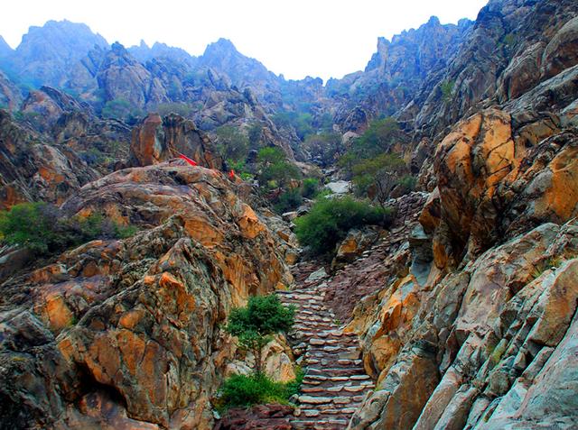 宁夏旅游：从沙漠绿洲到贺兰山岩画揽胜（图）