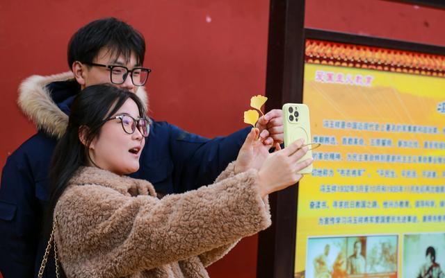 泰山普照寺，那最后的一树金黄