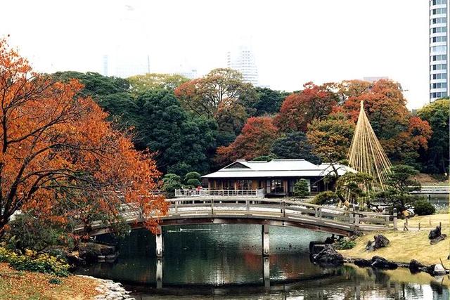 TADA东京美术塾| 懒人福利篇｜东京市内随时打卡红叶景点TOP10