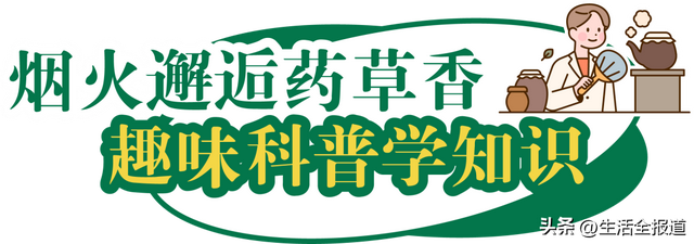 神秘东方力量！拯救脆皮人类！
