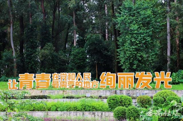 番禺这条「宝藏路线」，让你重新爱上Citywalk！