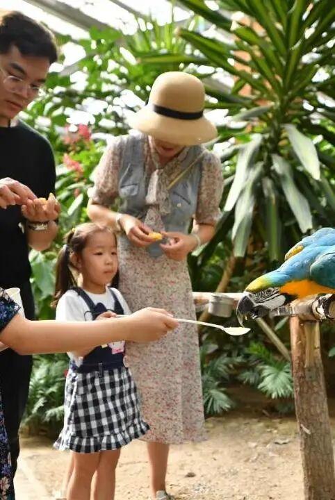 冬日奇遇开启！五洲植物乐园藏着超多惊喜！寻绿不跑空！12月营业时间新鲜出炉~