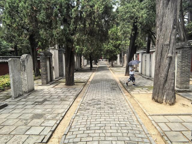 山东邹城游记