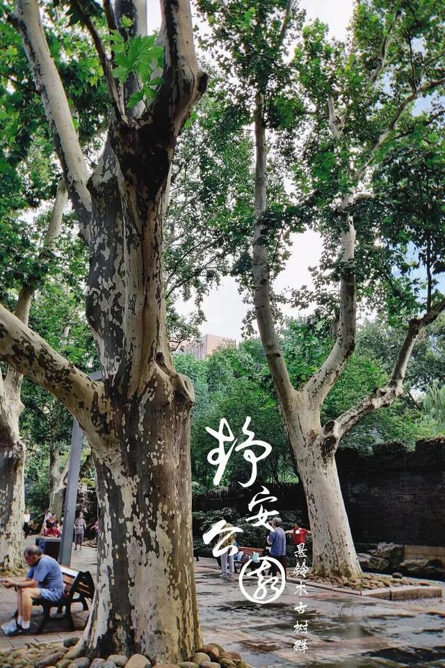 陪伴上海人70多年的“老友”要闭关升级了！这段历史头回听说？未来长啥样提前看！