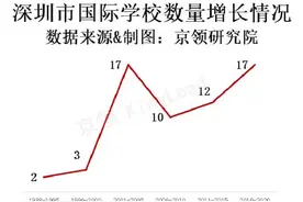 深圳国际学校生态竞争力分析图片