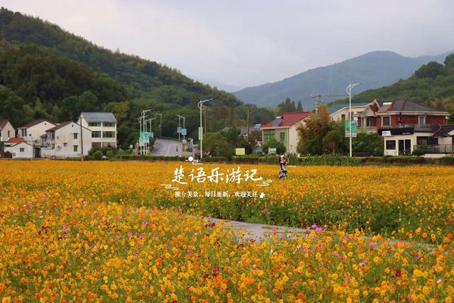 浙江宁波这片花海又火了，烟雨中更有诗画意境，周边民宿也很优美
