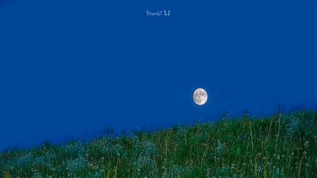 国乒富二代天花板：朱雨玲无奈接手家族企业，父亲是四川商界领袖