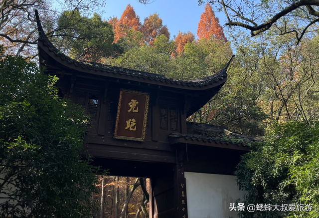 这个杭州公园不得了，被美人填满，拥有绝美枫景，已成浪漫打卡地