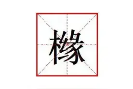 "橼"怎么读?什么意思?"香橼"是指什么?香橼和柠檬的区别是什么?图片