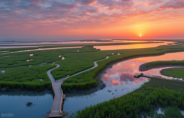 江岛崇明，上海人最后的诗和远方