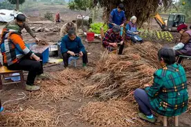 实在不敢相信，中国人的现状，被外国人一眼看透，说的太好了图片